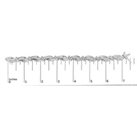 14K White Gold 4.0 Cttw Invisble Set Princess-Cut Diamond Wave Style Link Bracelet (H-I Color, SI2-I1 Clarity) - 7