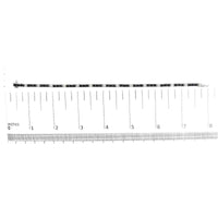 .925 Sterling Silver Black and White Diamond Tennis Bracelet (I-J Color, I2-I3 Clarity) - 7.25