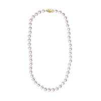 14K Gold 8.0x8.5mm Akoya Pearl Strand Necklace