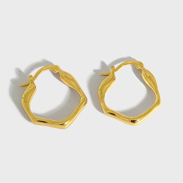 Fashion Irregular Geometry 925 Sterling Silver Hoop Earrings - KIAHMILLA