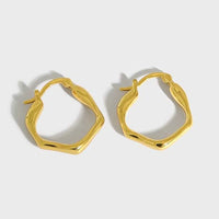 Fashion Irregular Geometry 925 Sterling Silver Hoop Earrings - KIAHMILLA