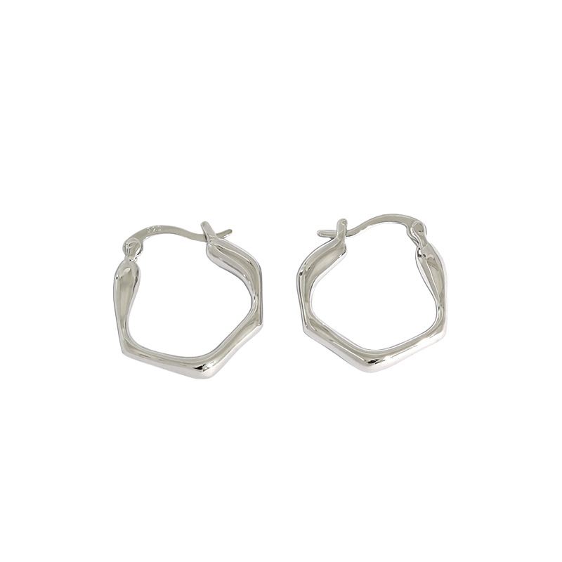 Fashion Irregular Geometry 925 Sterling Silver Hoop Earrings - KIAHMILLA