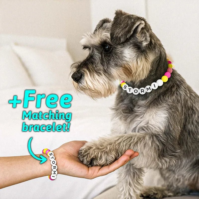 Personalized Pet Name Necklace – Comes with a Free Matching Bracelet - Coolpeacock