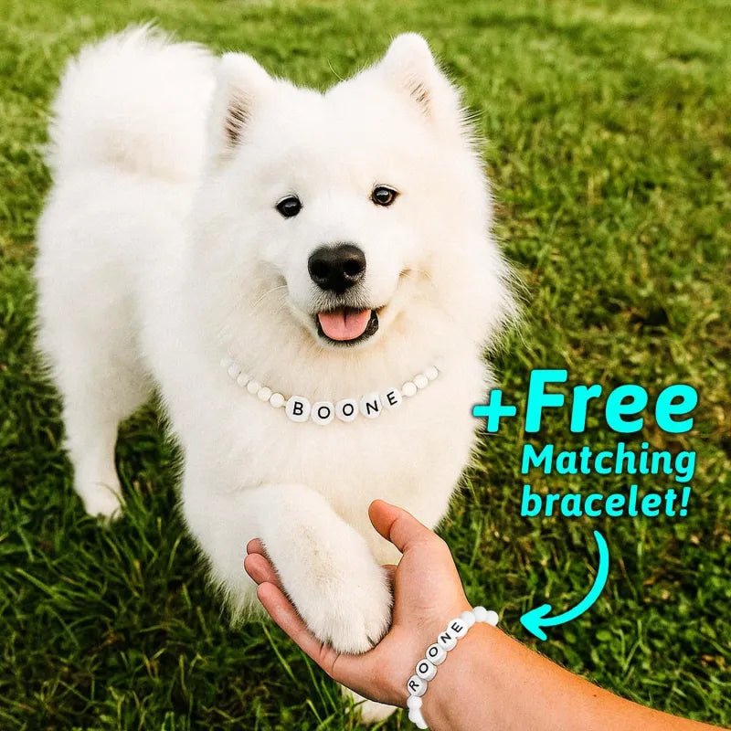 Personalized Pet Name Necklace – Comes with a Free Matching Bracelet - Coolpeacock