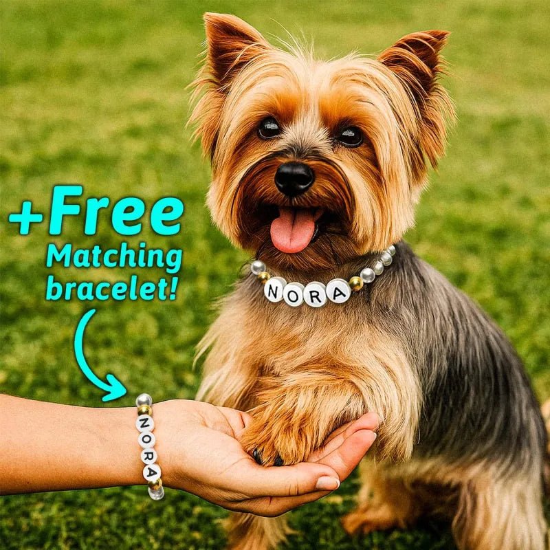 Personalized Pet Name Necklace – Comes with a Free Matching Bracelet - Coolpeacock