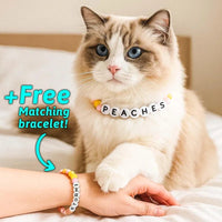 Personalized Pet Name Necklace – Comes with a Free Matching Bracelet - Coolpeacock