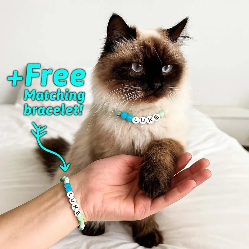 Personalized Pet Name Necklace – Comes with a Free Matching Bracelet - Coolpeacock