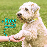 Personalized Pet Name Necklace – Comes with a Free Matching Bracelet - Coolpeacock