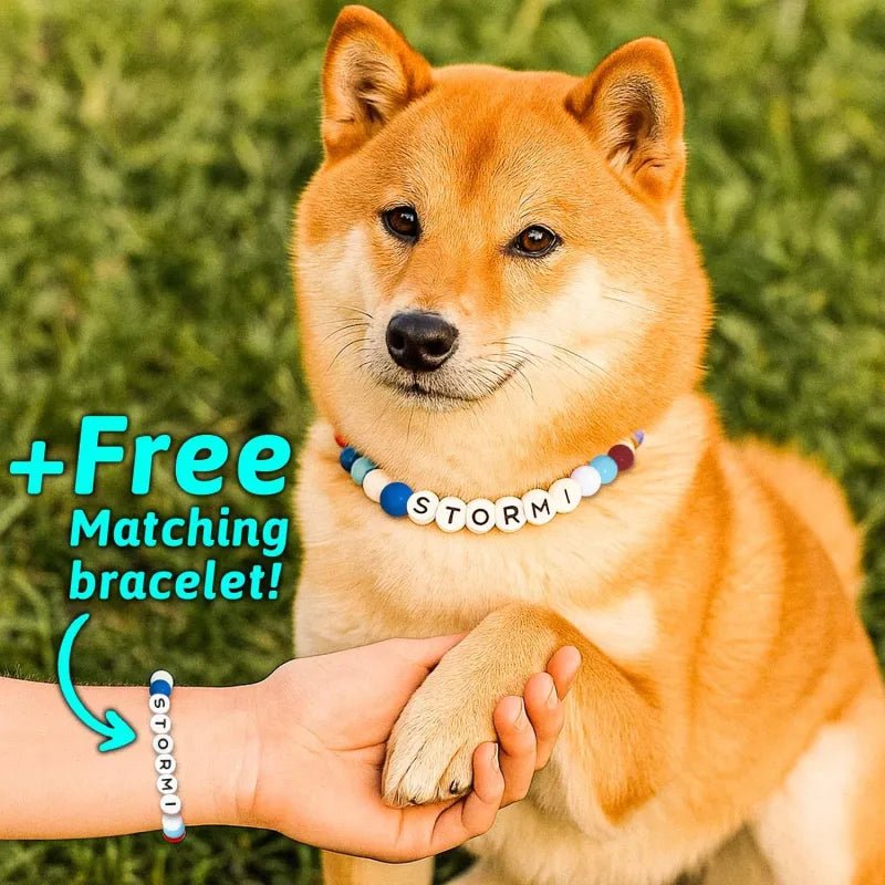 Personalized Pet Name Necklace – Comes with a Free Matching Bracelet - Coolpeacock