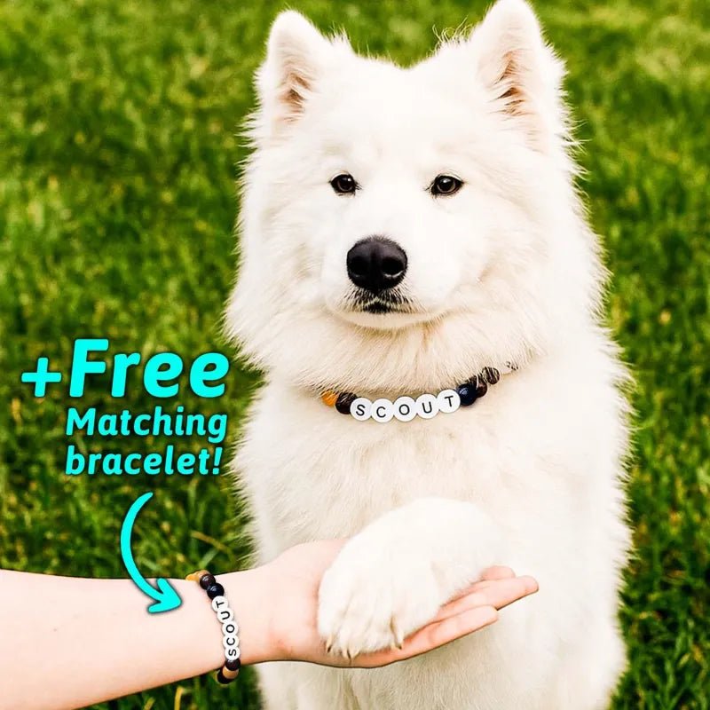 Personalized Pet Name Necklace – Comes with a Free Matching Bracelet - Coolpeacock